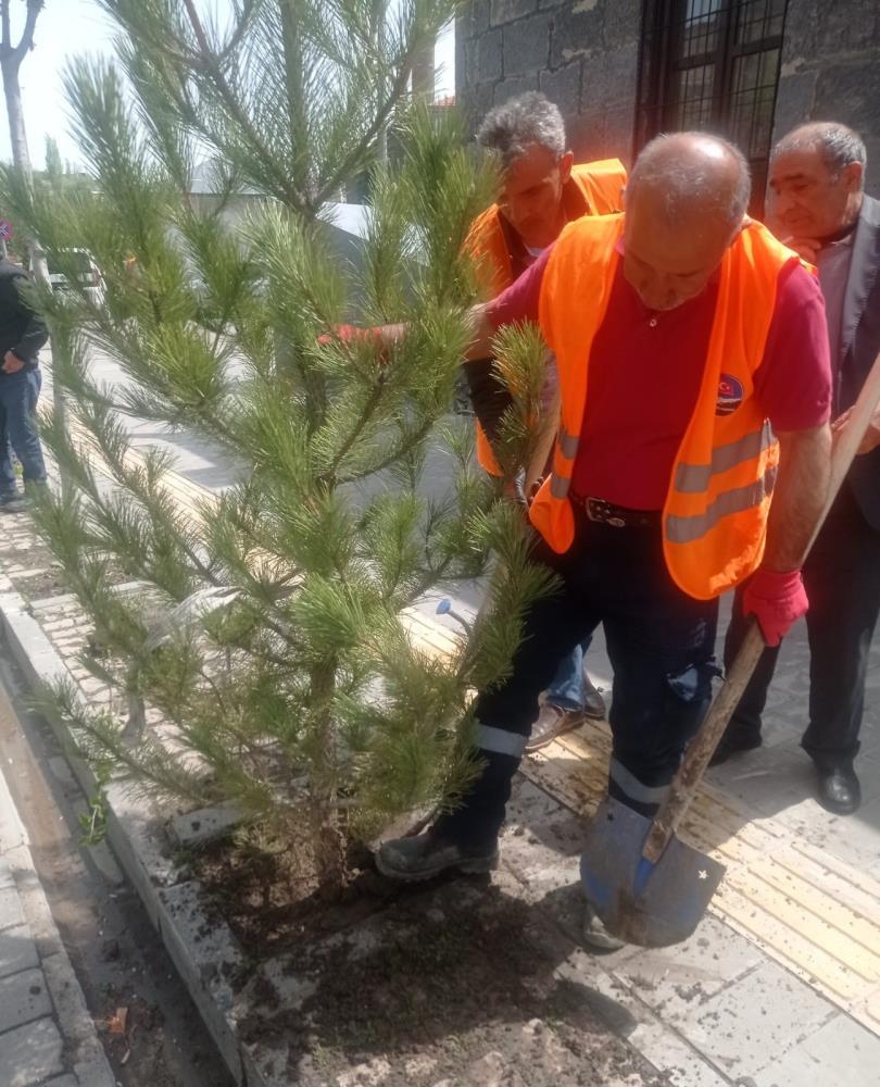 Kars Belediyesi'nden çevre düzenlemesi