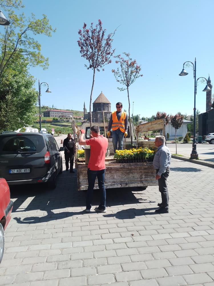 Kars'ta kuruyan ağaçlar değiştiriliyor