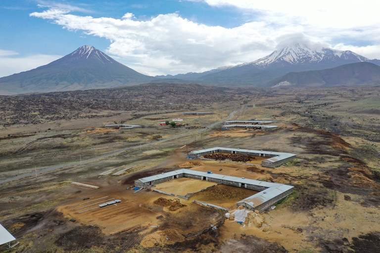 Sınır hattındaki otlaklar büyükbaş ve küçükbaş hayvan üretiminde değerlendiriliyor