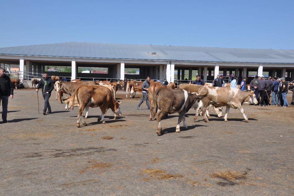 Kars Hayvan Pazarı'nda durgunluk yaşanıyor