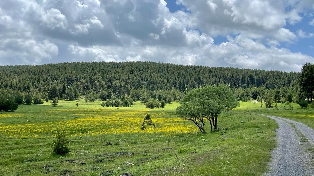 Sarıkamış Vakfı sempozyumda bir araya gelecek