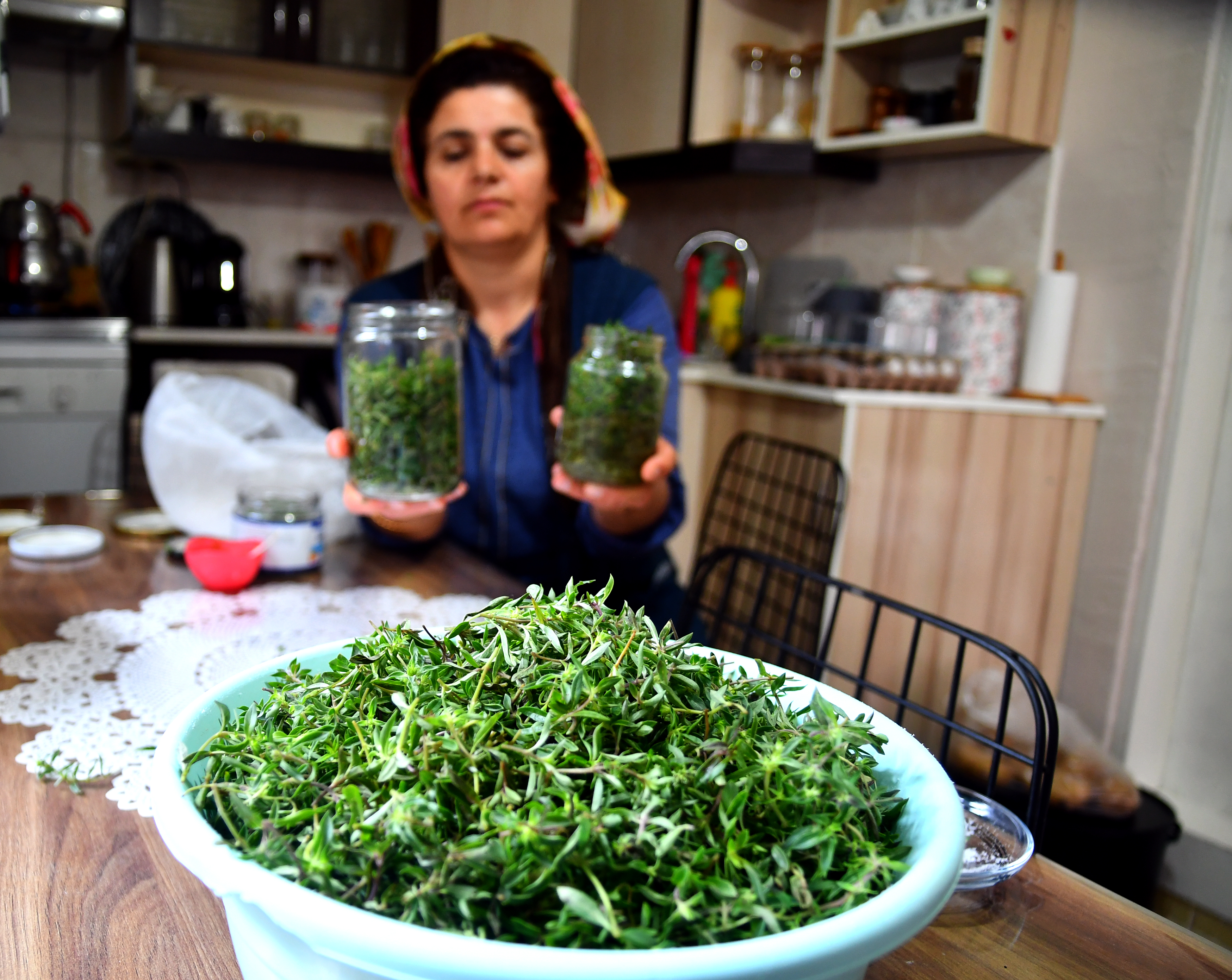 Sarıkamış'ta 2 bin 500 rakımda zahter bereketi yaşanıyor