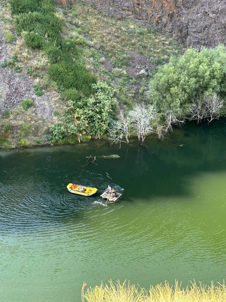 Sarıkamış'ta Aras Nehri'ne düşen büyükbaş hayvan kurtarıldı