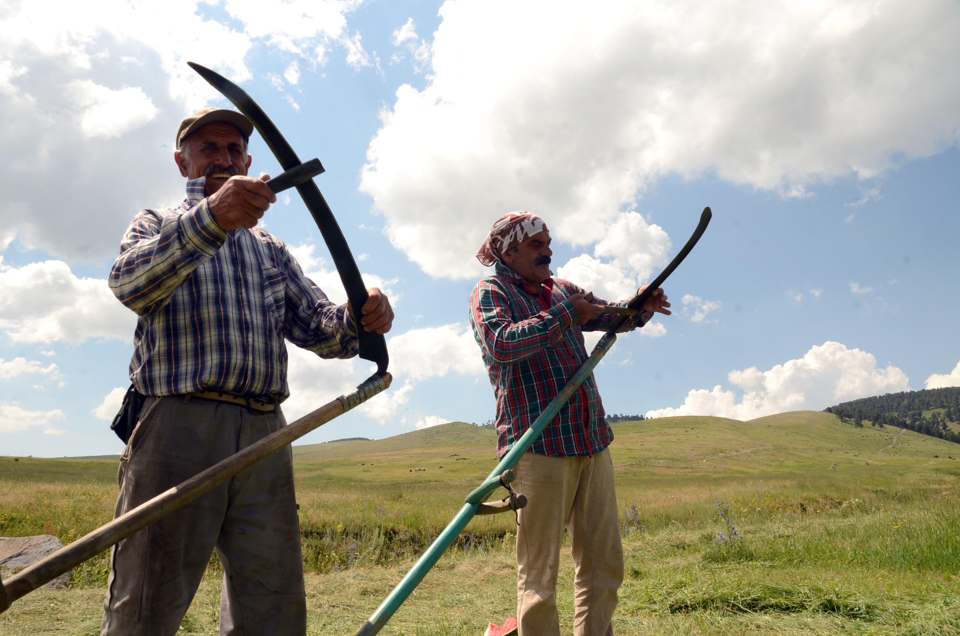 Sarıkamış'ta çiftçiler ot biçme mesaisine başladı