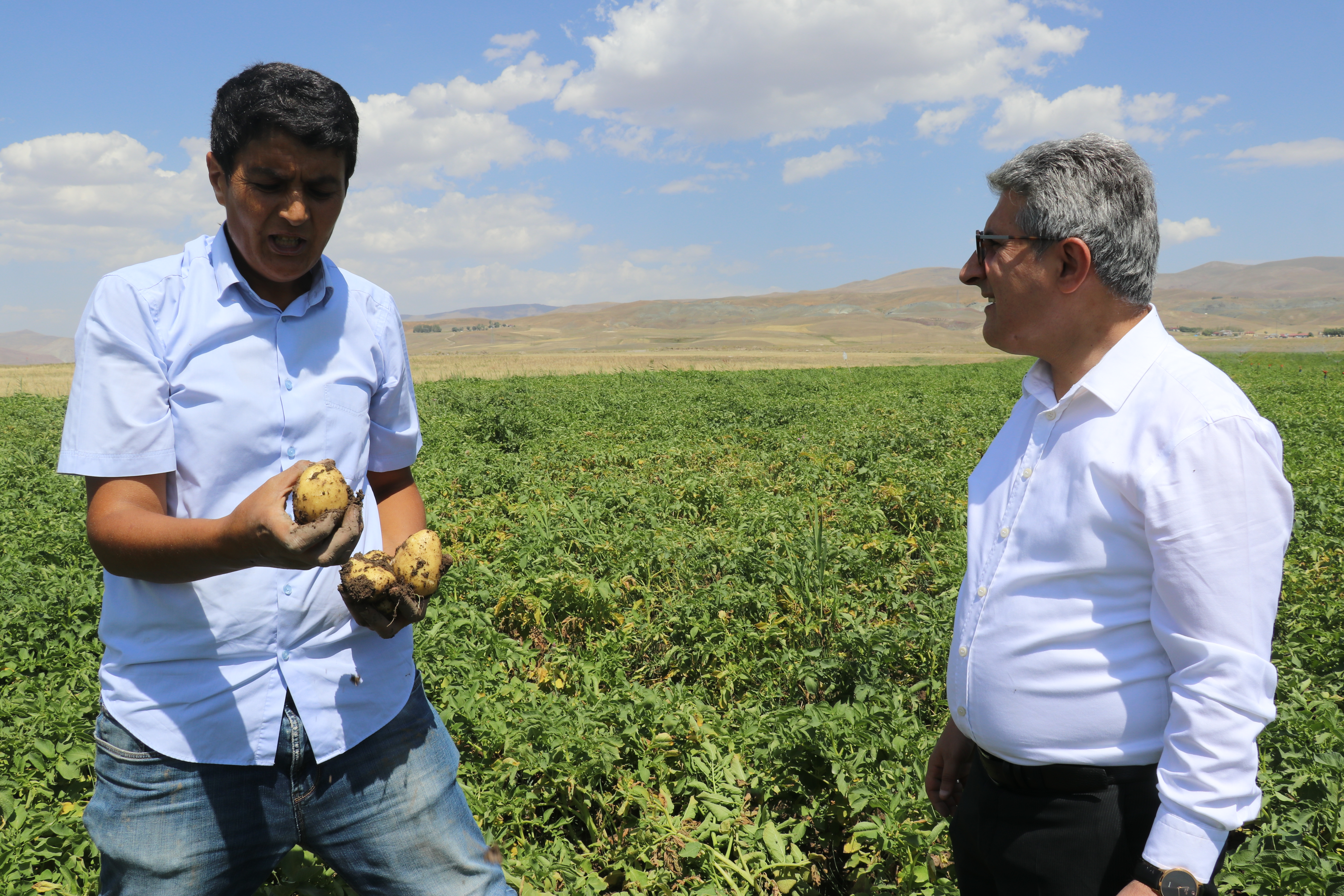 Ağrı'da devlet desteğiyle patates eken çiftçiler yüksek verim bekliyor