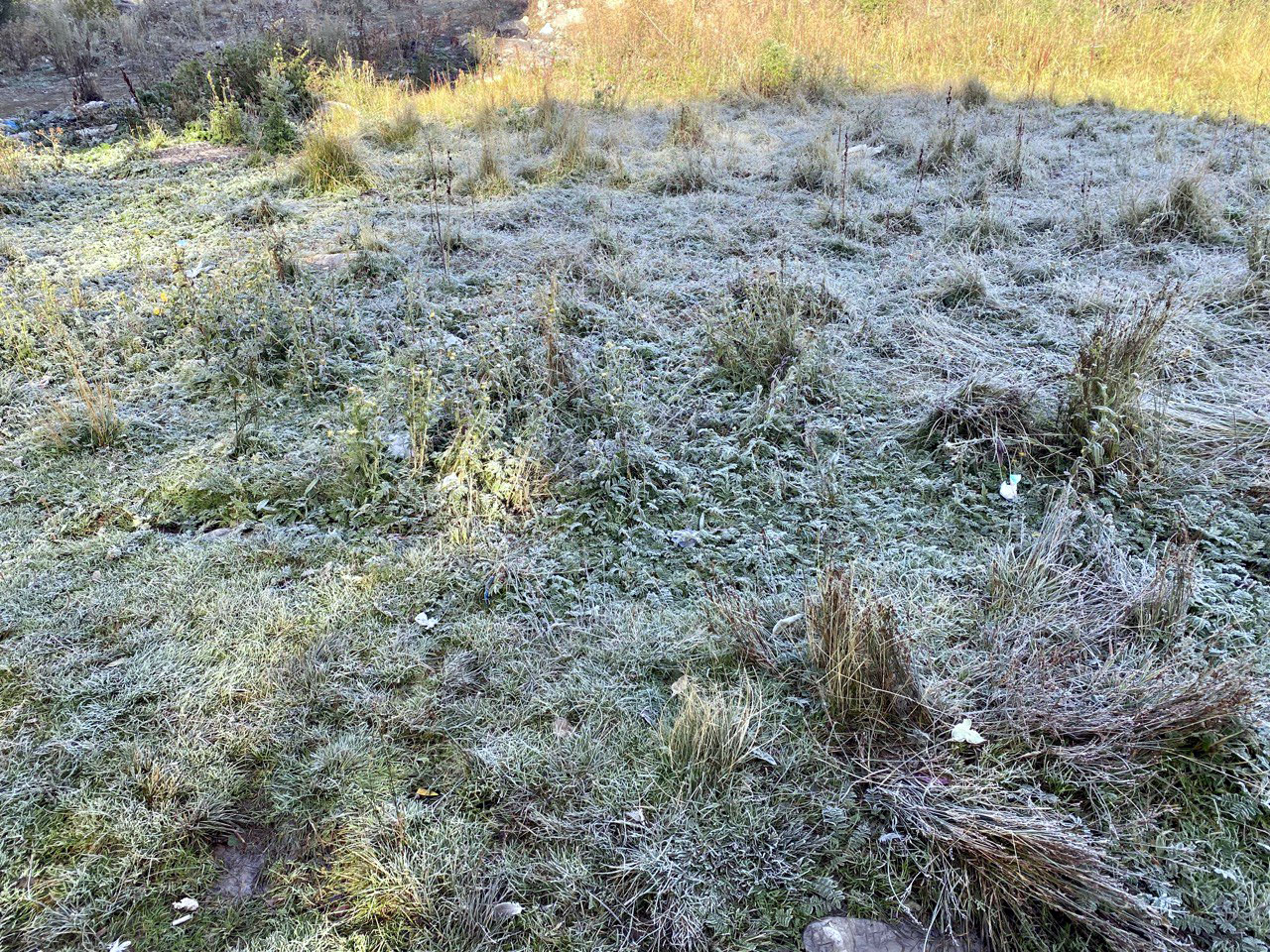 Ardahan'da soğuk hava nedeniyle kırağı oluştu