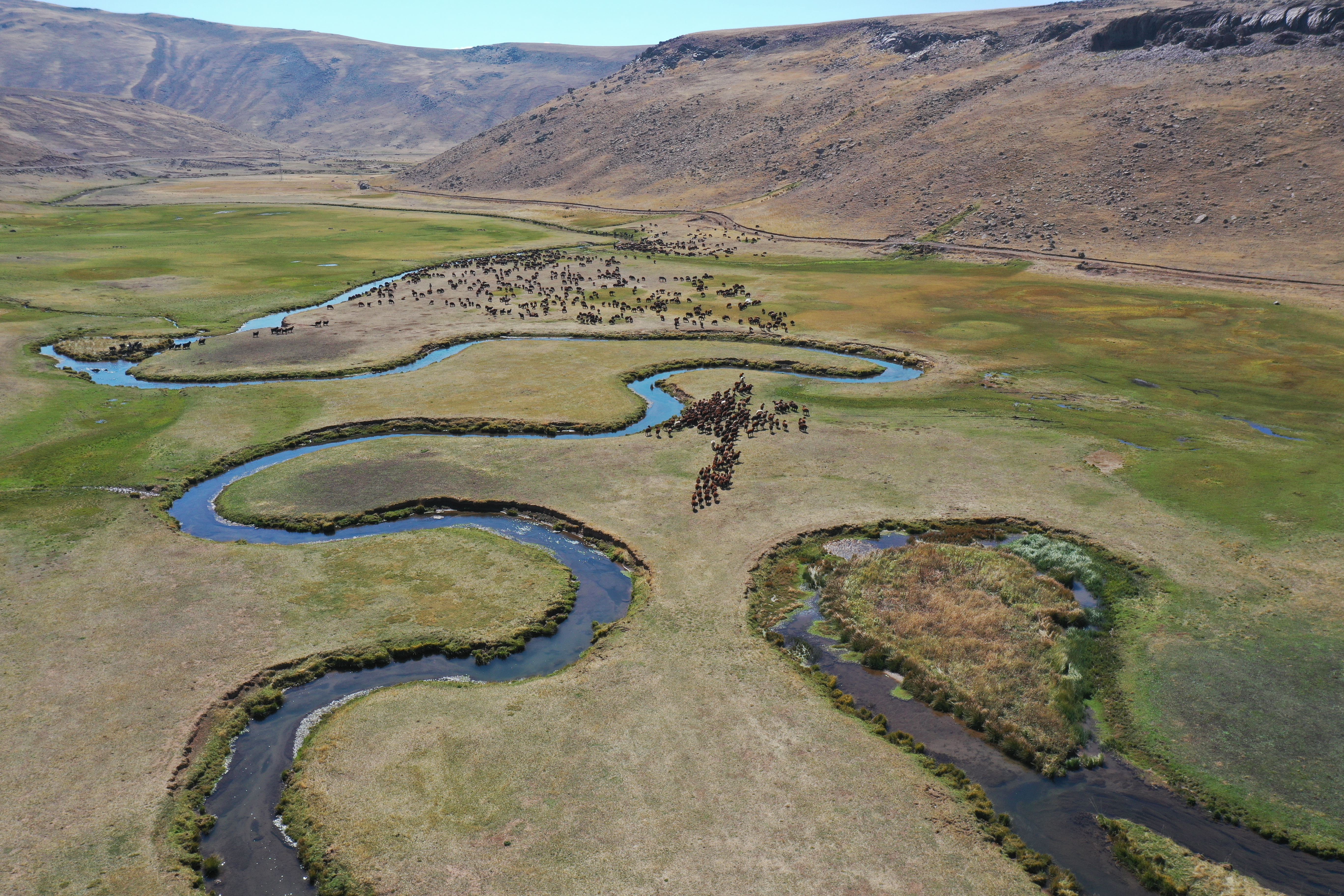 Yaylada sürüleri için 6 ay geçiren çobanlar dönüş hazırlığına başladı