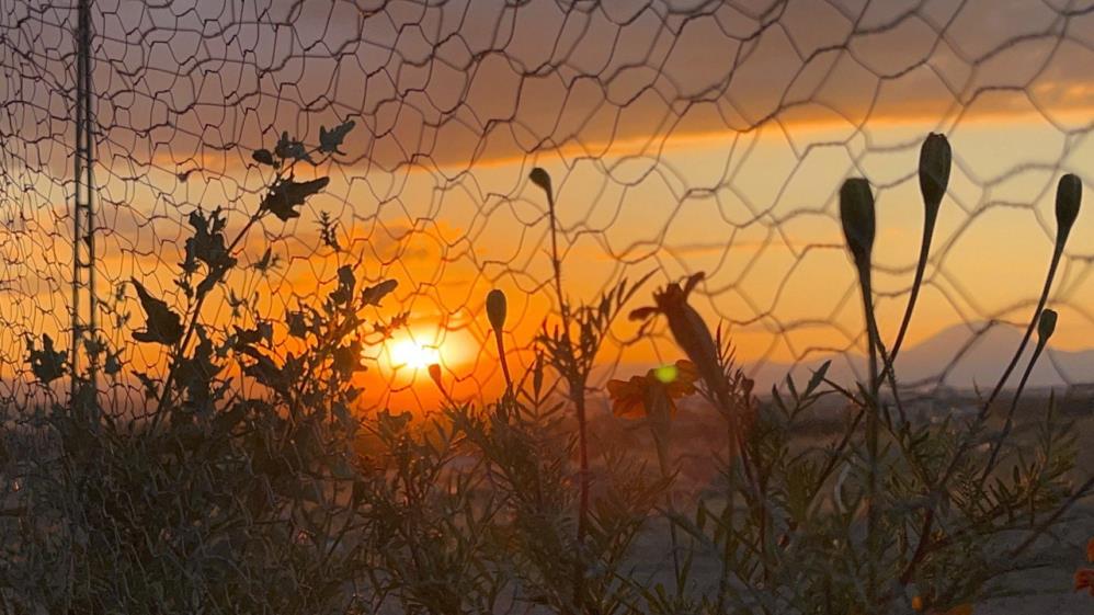 Ağrı'da gün batımı görsel şölen oluşturdu