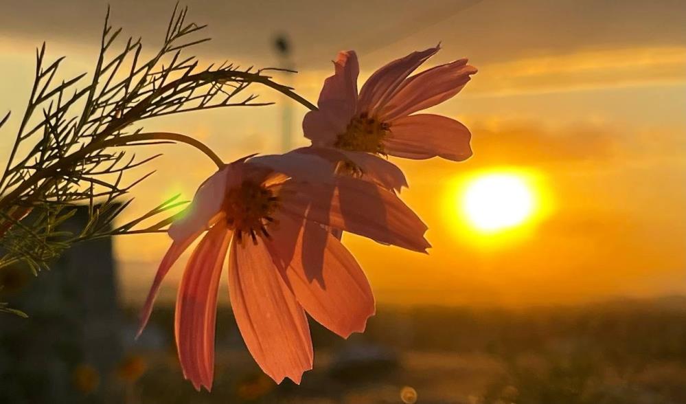 Ağrı'da gün batımı görsel şölen oluşturdu