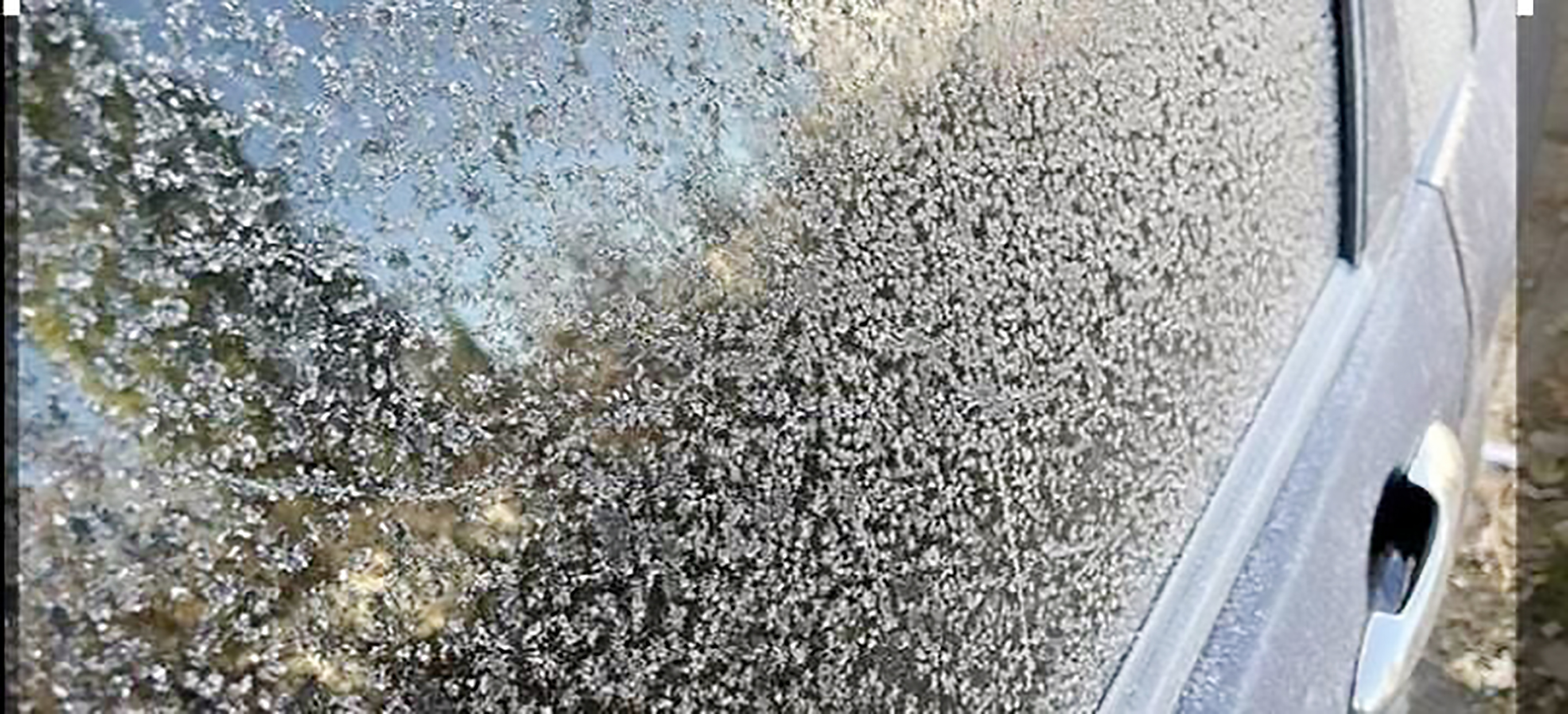 Kars’ta sıcaklıklar eksilere düştü