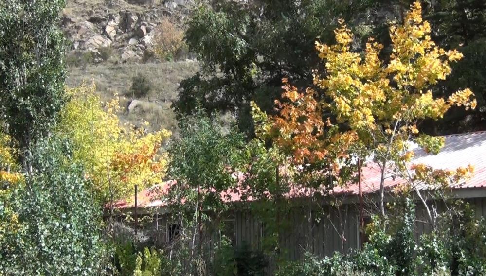 Kars'ta ağaçların yaprak dökümü başladı