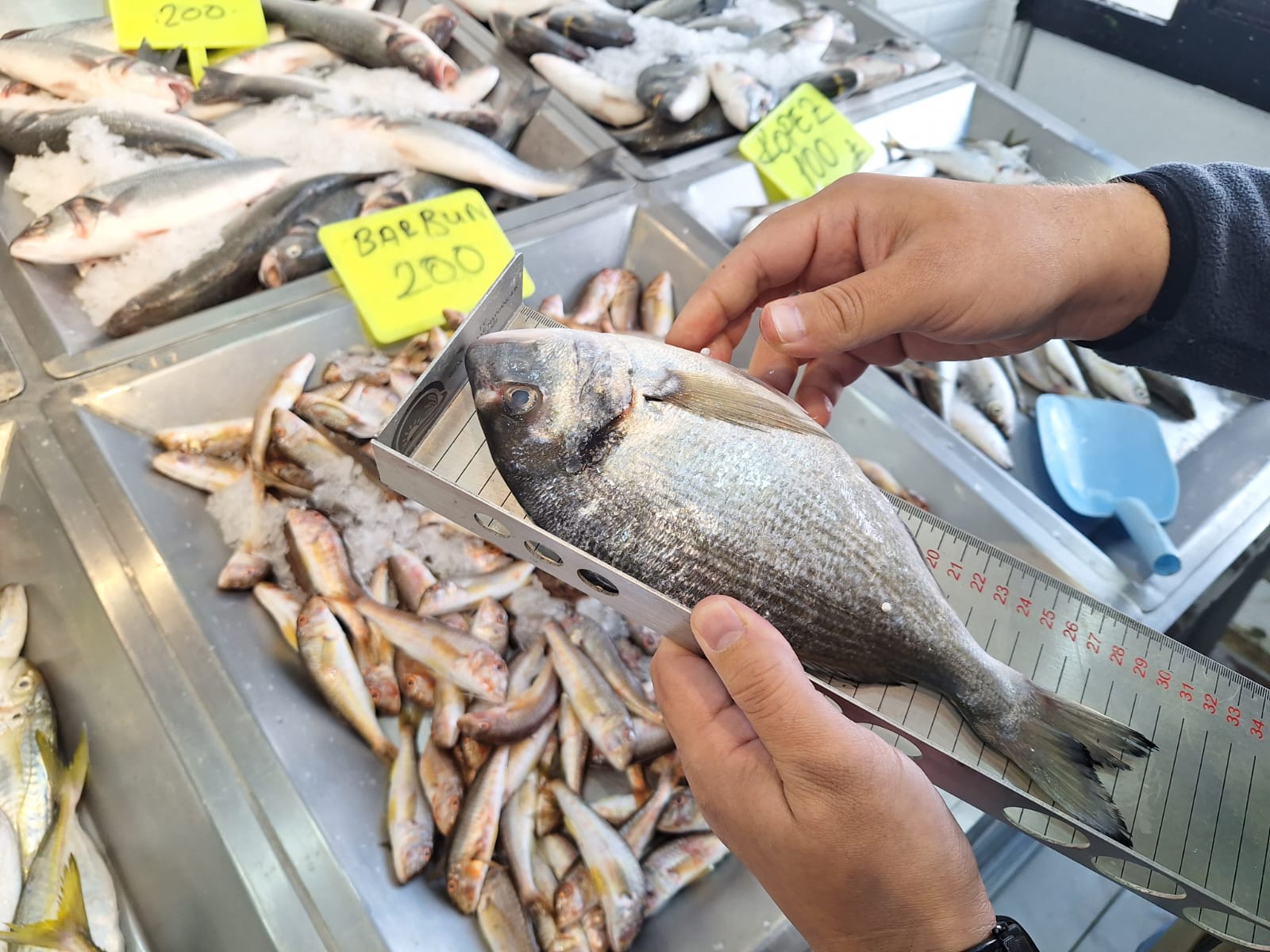 Kars'ta su ürünleri denetimleri yapıldı