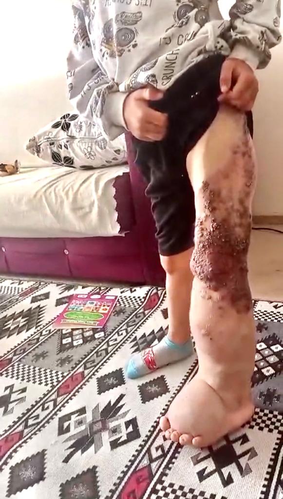 Hayvanları çalınan aile yardım istedi