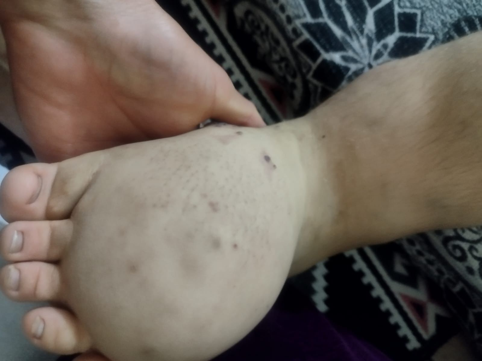 Hayvanları çalınan aile yardım istedi