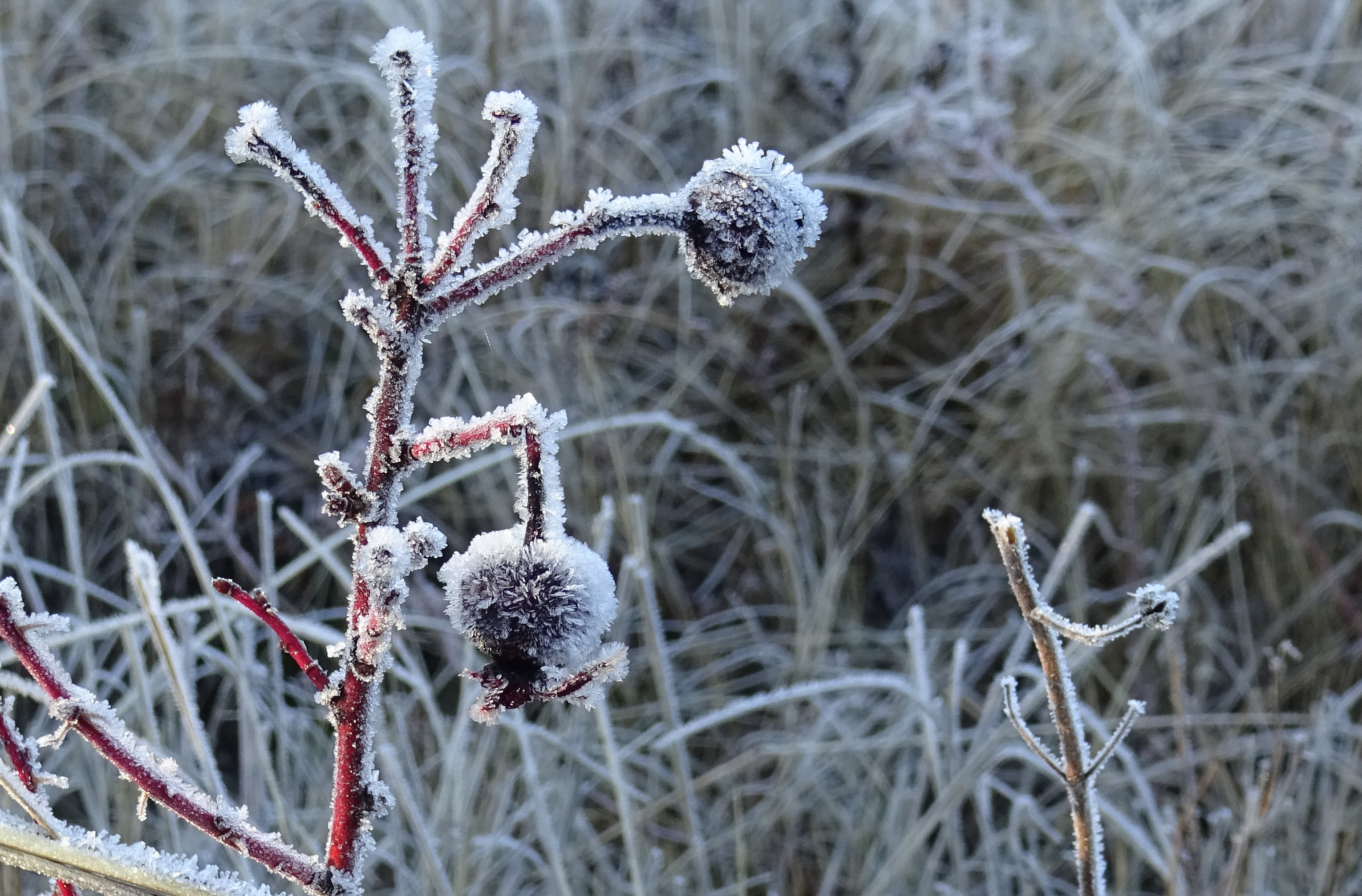 Kars'ta soğuk hava etkili oluyor
