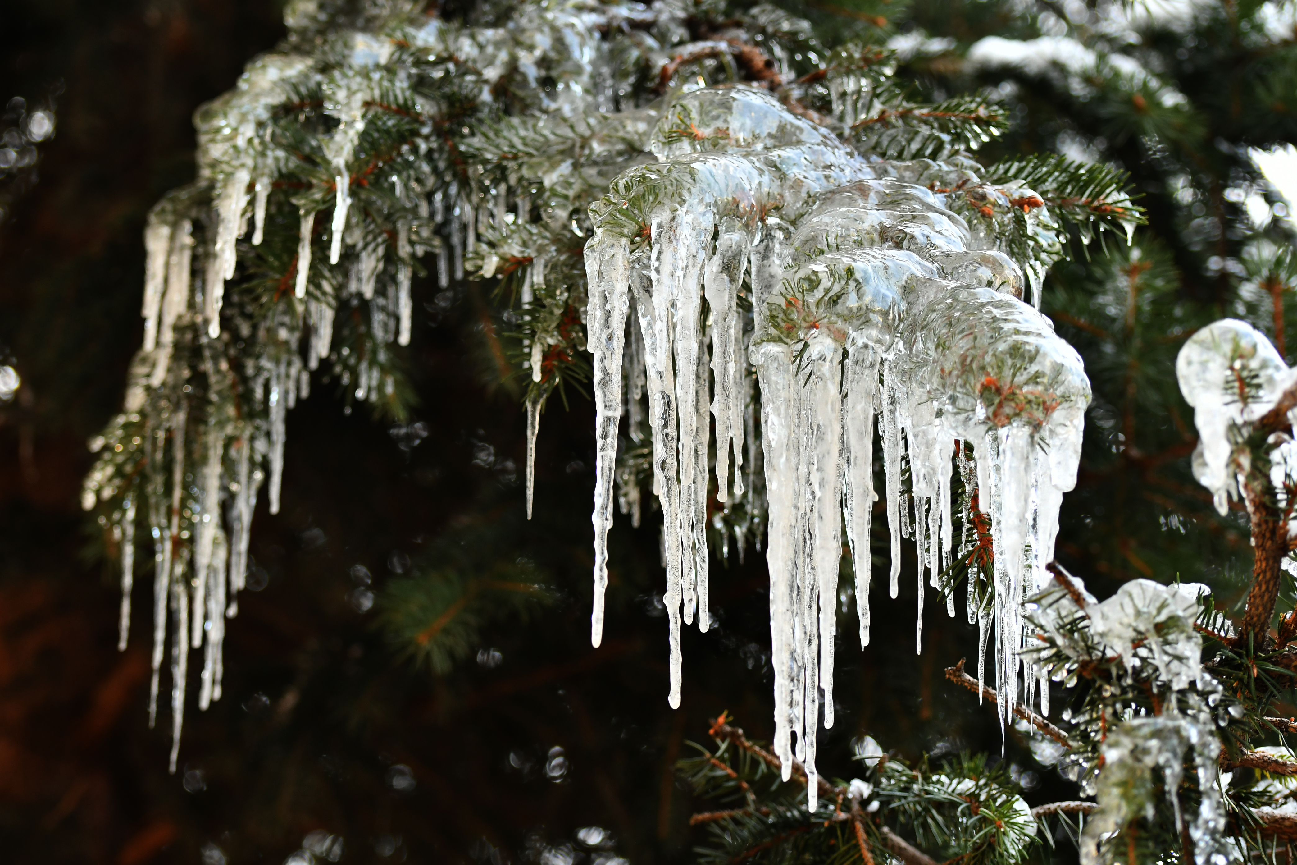 Sarıkamış'ta soğuk hava yaşamı olumsuz etkiledi