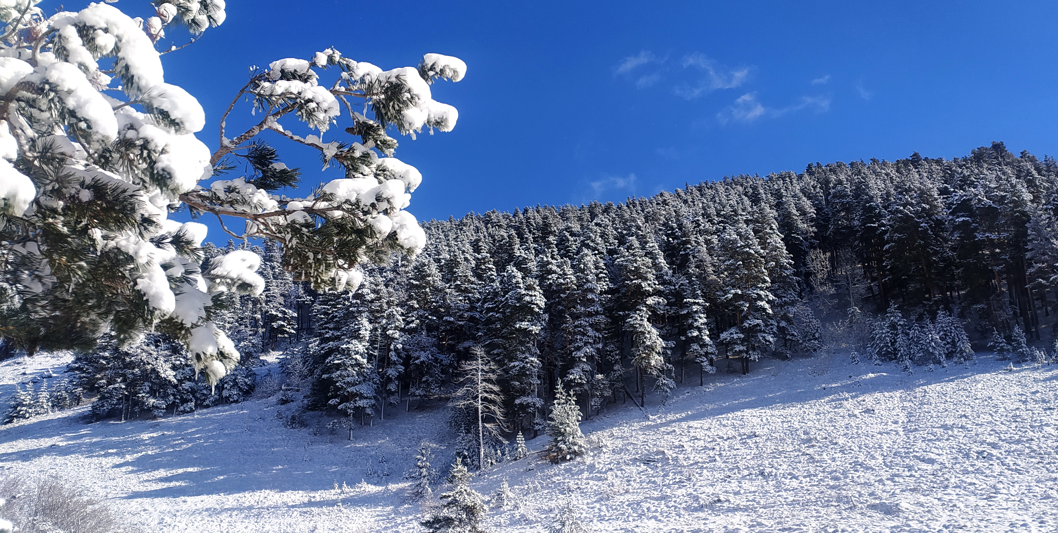 Sarıkamış'ta soğuk hava yaşamı olumsuz etkiledi