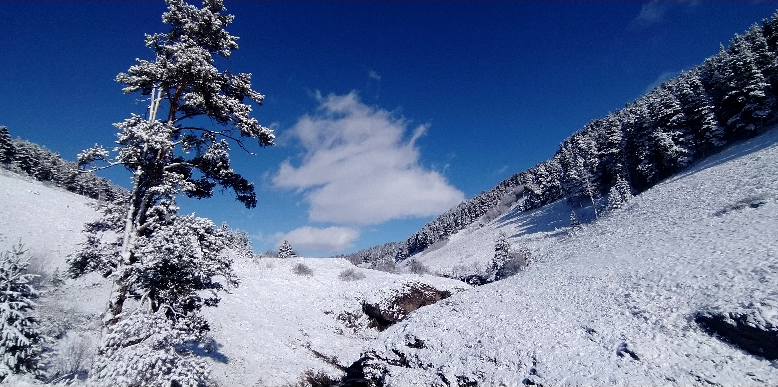 Sarıkamış'ta soğuk hava yaşamı olumsuz etkiledi