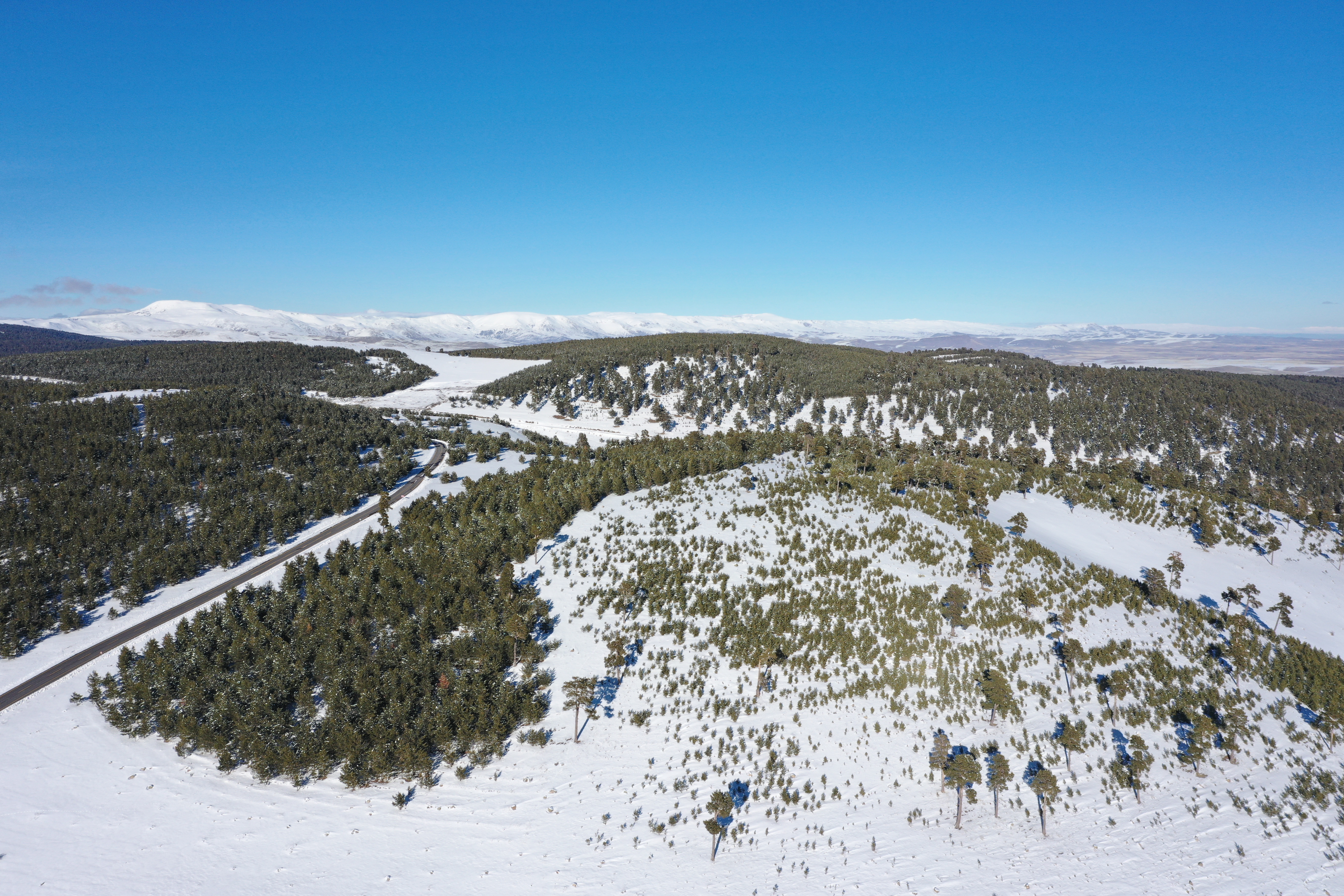 Dondurucu soğukta yazılan destan: Sarıkamış Harekatı