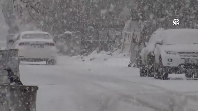 Sarıkamış'ta yoğun kar yağışı