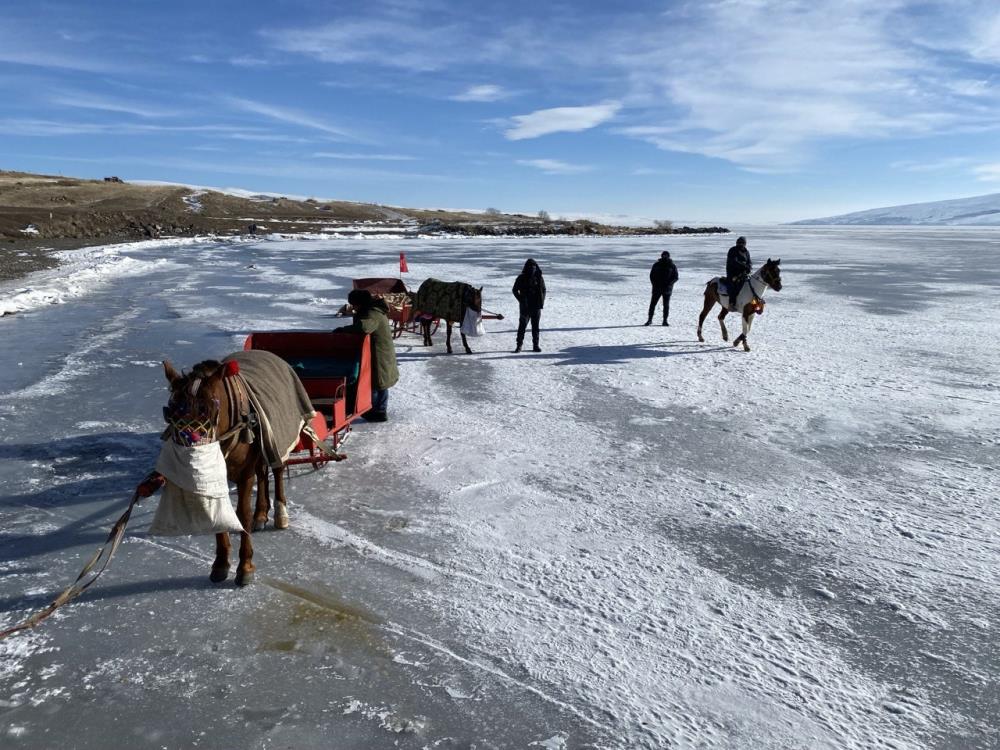 Çıldır Gölü'nde atlı kızak keyfi başlıyor
