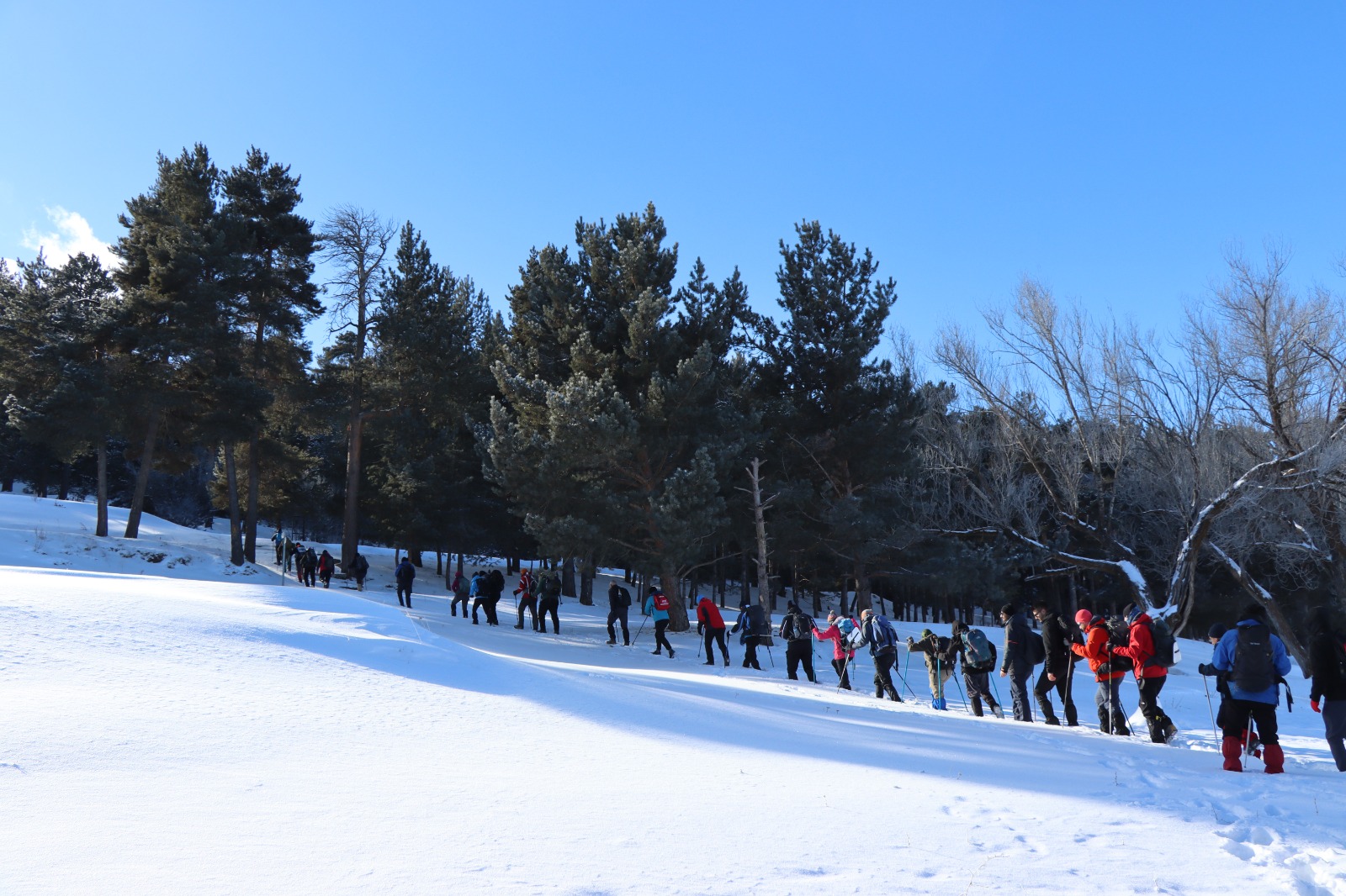 Sarıkamış'ın ormanlarında şehitlere saygı yürüyüşü 