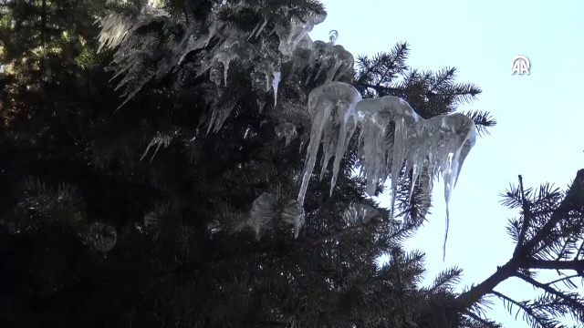 Sarıkamış'ta soğuk hava etkili oluyor