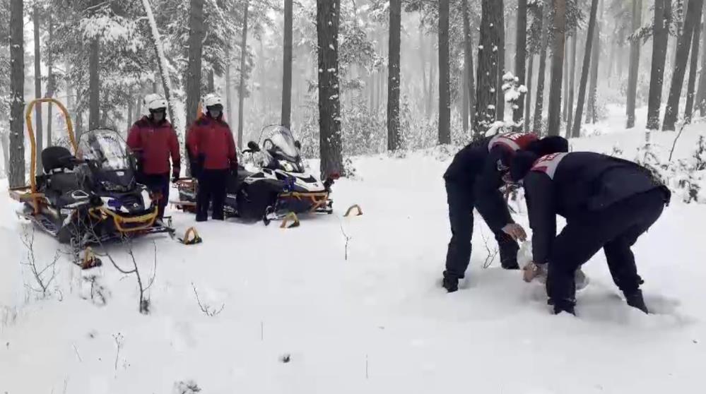 Kars'ta jandarma yaban hayvanlarına yiyecek bıraktı