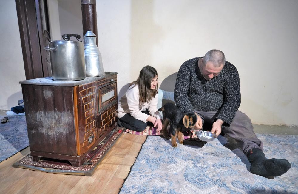 Muş'ta 3 ayaklı oğlak doğdu