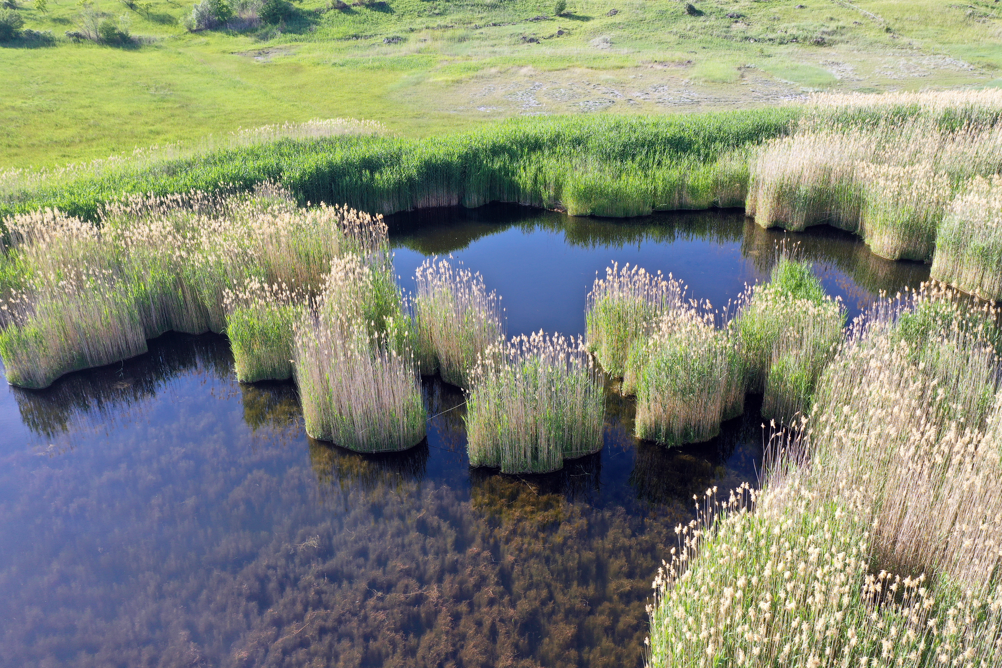 Iğdır'daki Üçkaya Gölü'nün turizme kazandırılması için çalışma başlatıldı