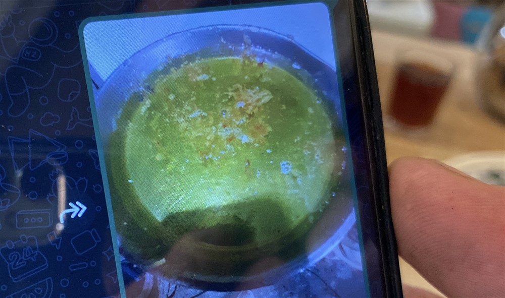 Kovanı açıp yeşil bal görünce şaşırdı