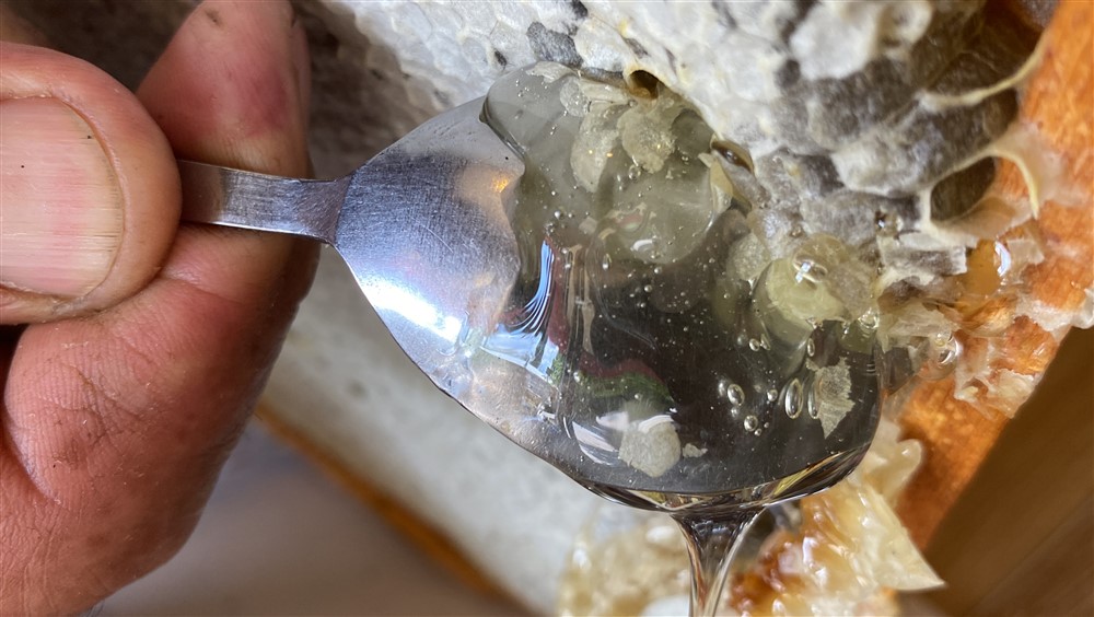 Kovanı açıp yeşil bal görünce şaşırdı