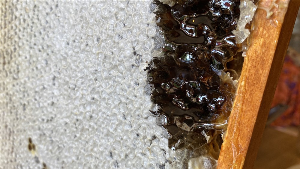 Kovanı açıp yeşil bal görünce şaşırdı