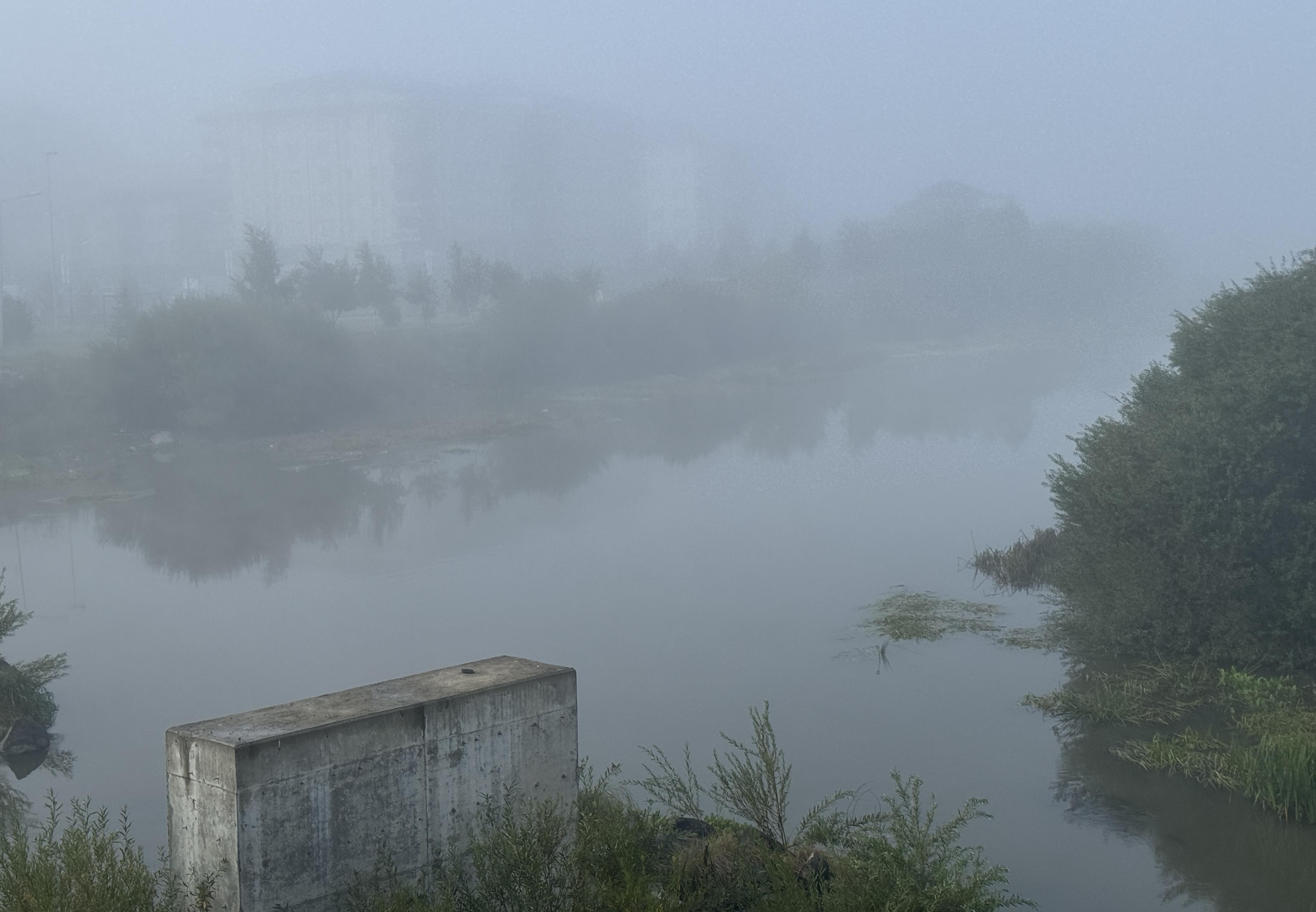 Ardahan'da yoğun sis etkili oldu