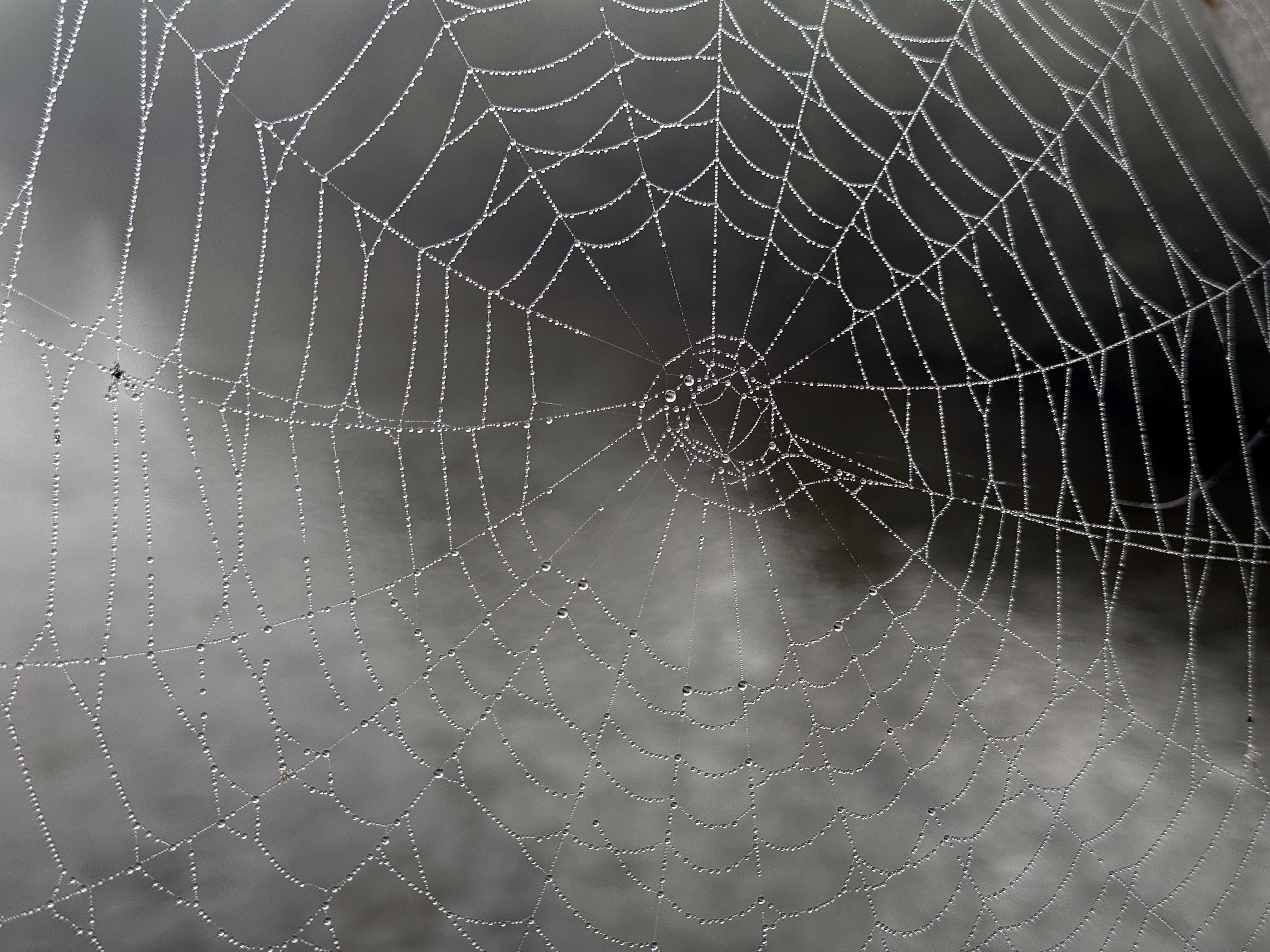 Ardahan'da yoğun sis etkili oldu