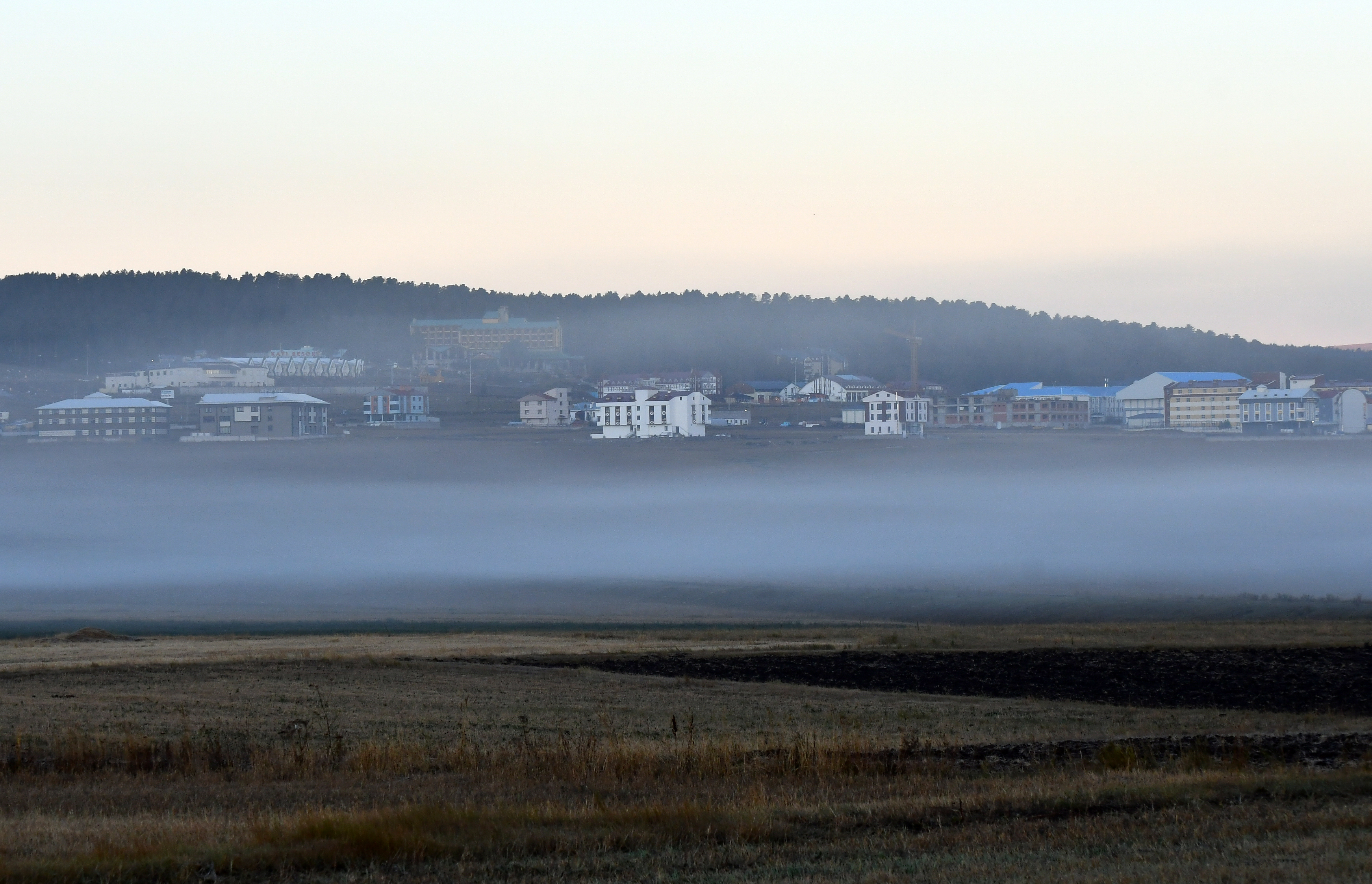 Sarıkamış'ta bitkiler kırağı tuttu