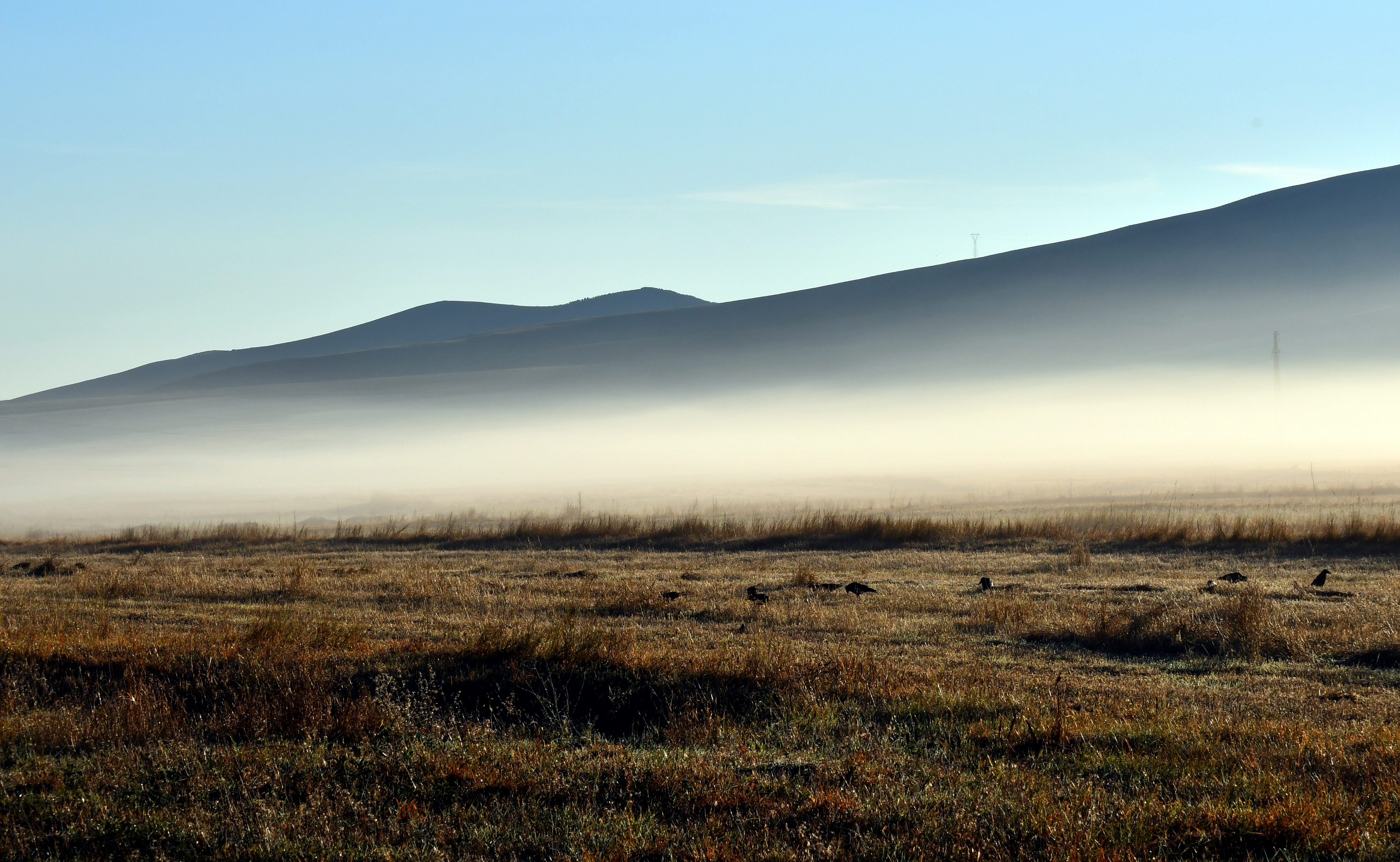 Sarıkamış'ta bitkiler kırağı tuttu