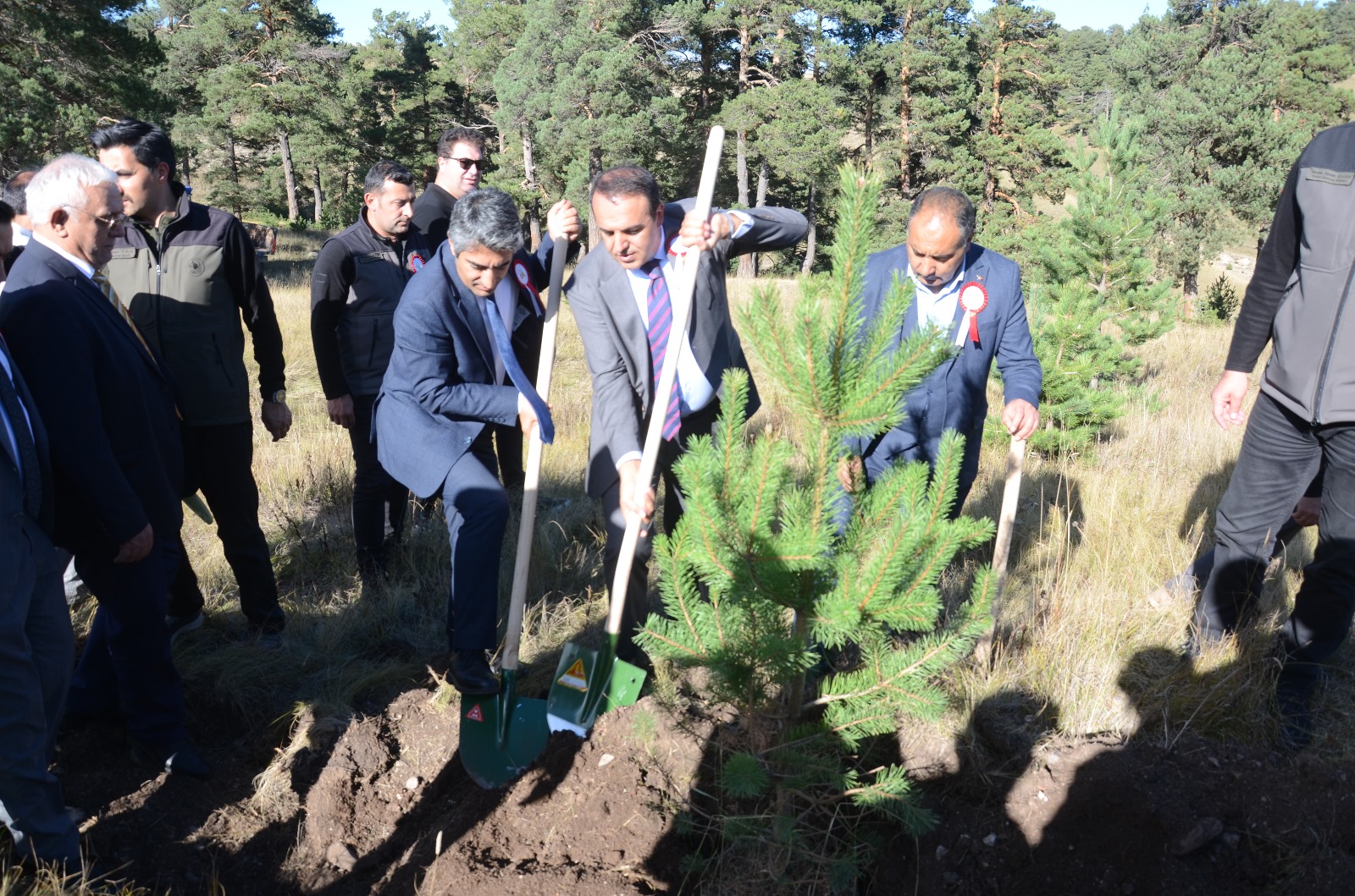 Sarıkamış ve Çanakkale şehitleri anısına hatıra ormanı oluşturuldu