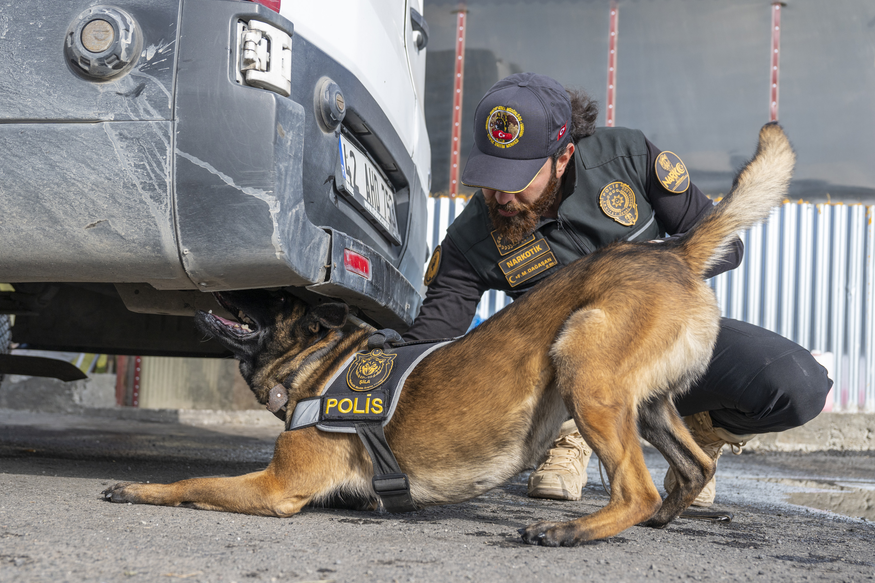 Narkotik dedektör köpeği Şila, gizlenen pirinç tanesi kadar maddeyi dahi buluyor