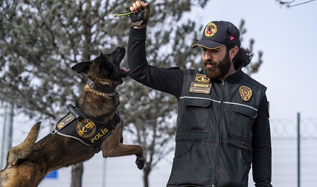 Narkotik dedektör köpeği Şila, gizlenen pirinç tanesi kadar maddeyi dahi buluyor