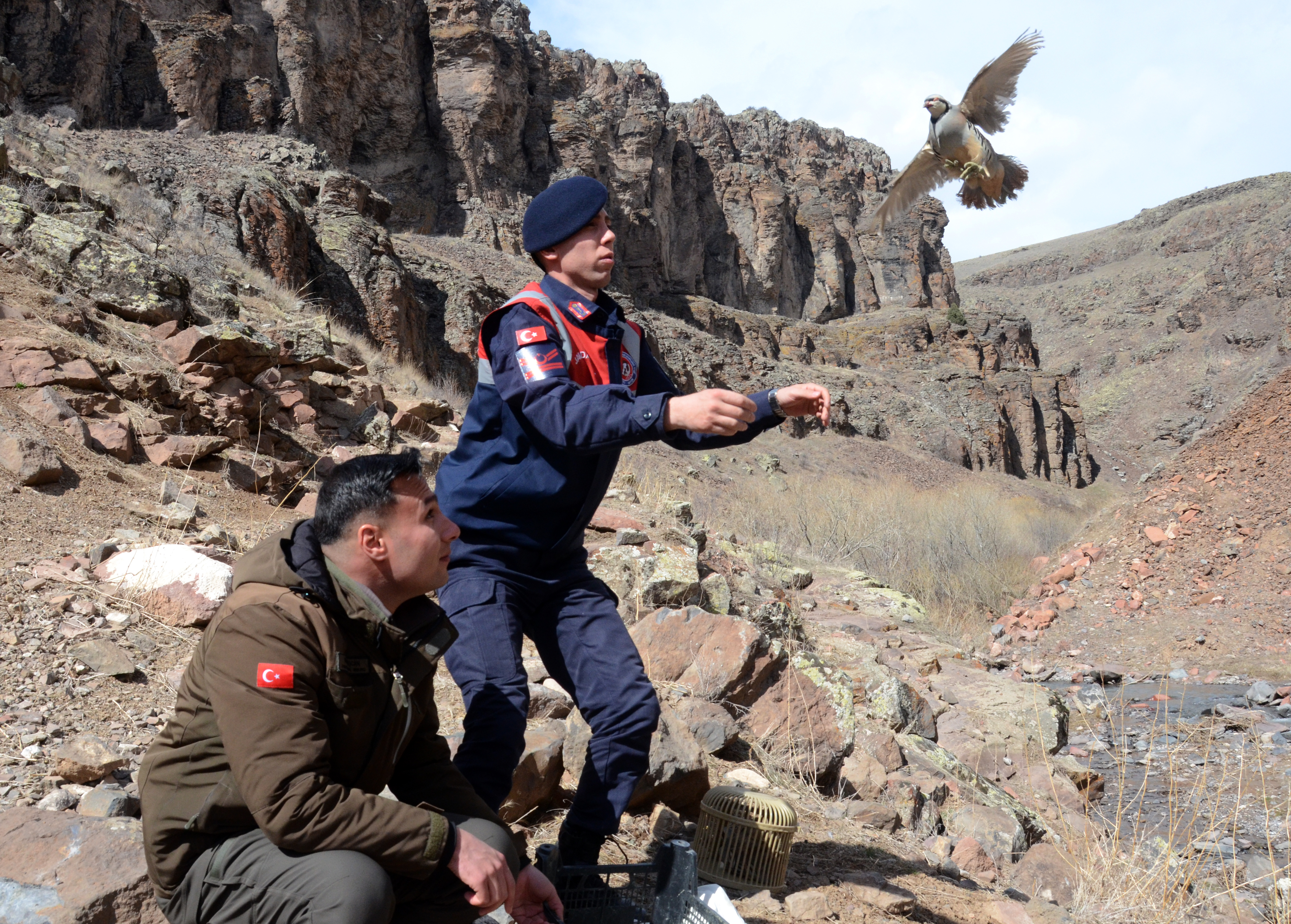 Kars'ta tuzak kurarak keklik avlayan iki kişiye 176 bin 510 lira ceza kesildi