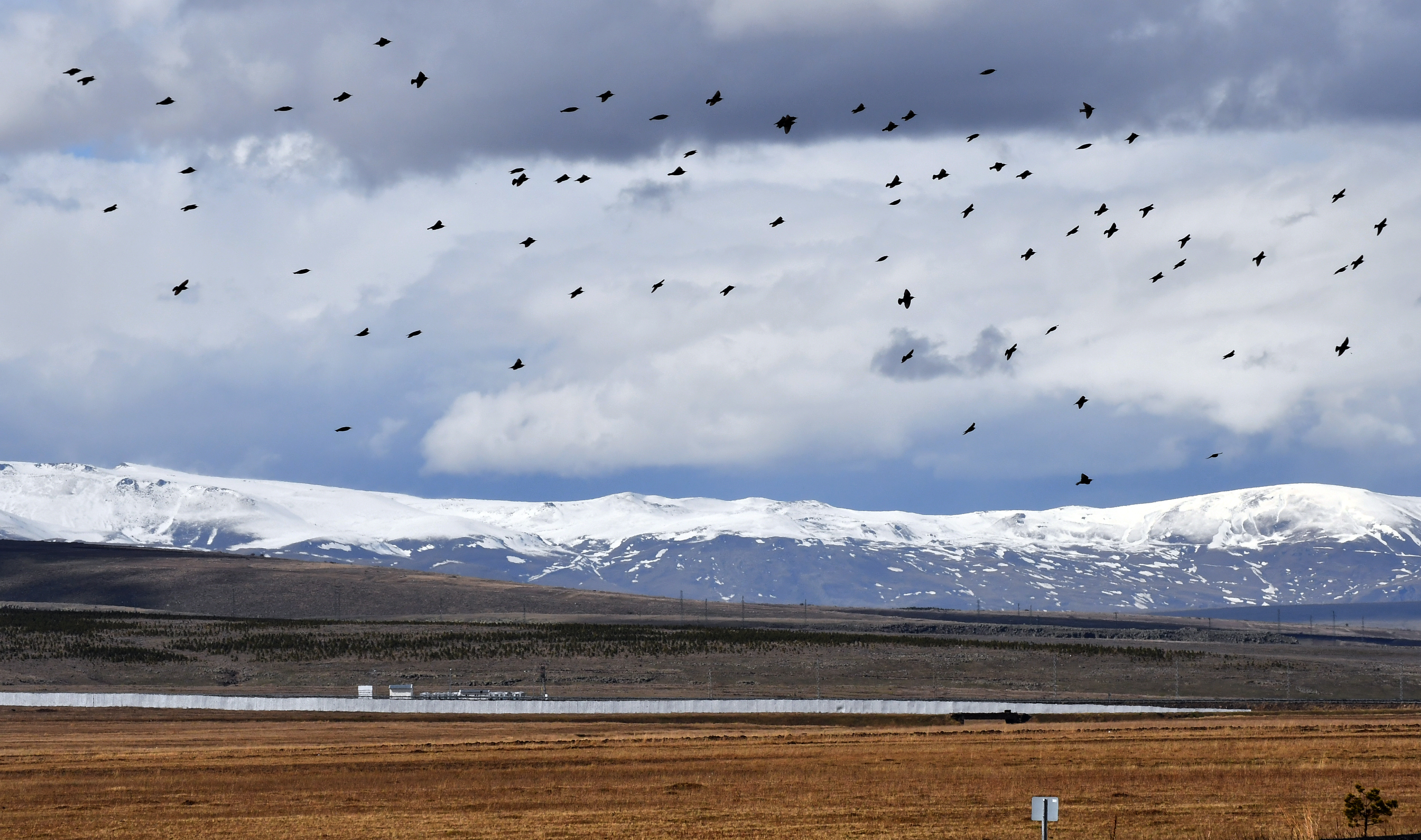Sarıkamış'ın yüksek kesimlerinde kar etkili oldu