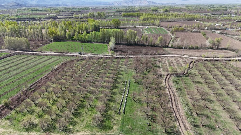 Iğdır'daki İrem Bağları'nda ilkbahar renkleri