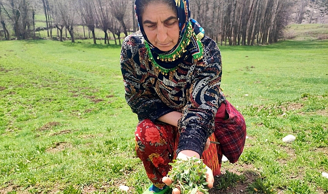 Bin bir zahmetle tek tek toplanıyor, faydası saymakla bitmiyor