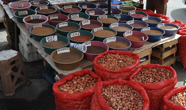 Kars’ta bostan tohumları satışa sunuldu