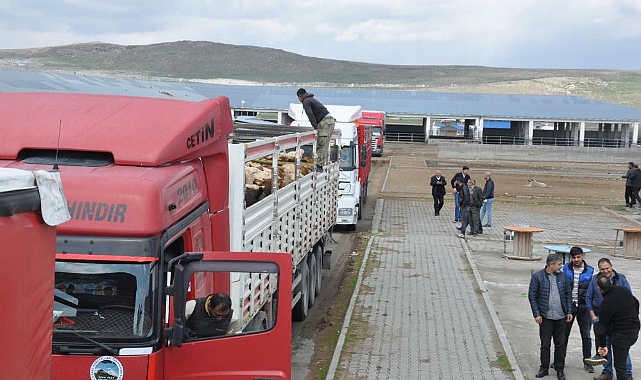 Kars Hayvan Pazarı'nda ilk gün bereketi yaşandı