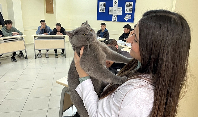 Matematik öğretmeninin kedisi "Başkan"ı lise öğrencileri çok sevdi