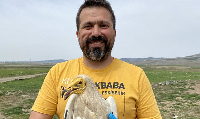 Uydudan takip edilen akbaba Midas, 1 yılda 32 bin kilometre uçtu