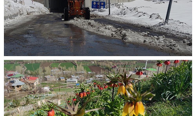 Van'da 60 kilometre arayla iki mevsim yaşanıyor