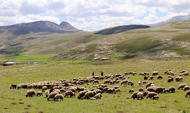 'Köyümde Yaşamak İçin Bir Sürü Nedenim Var' projesi çitçilerin yüzünü güldürdü